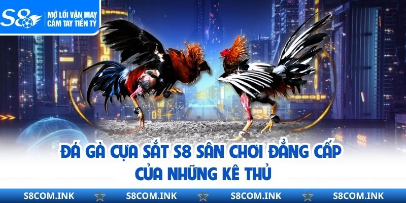 Đá Gà Cựa Sắt S8 Sân Chơi Đẳng Cấp Của Những Kê Thủ