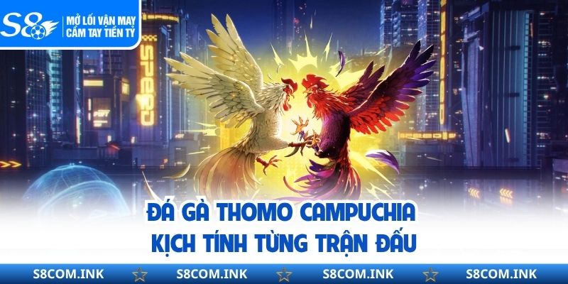 Đá gà Thomo Campuchia kịch tính từng trận đấu