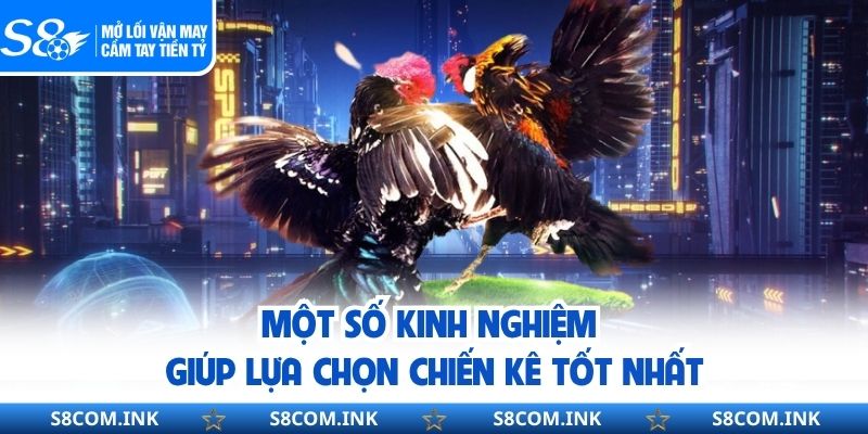 Một số kinh nghiệm giúp lựa chọn chiến kê tốt nhất
