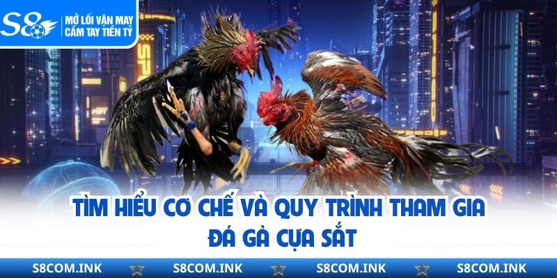 Tìm hiểu cơ chế và quy trình tham gia đá gà cựa sắt