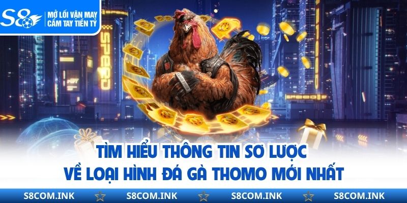 Tìm hiểu thông tin sơ lược về loại hình đá gà thomo mới nhất
